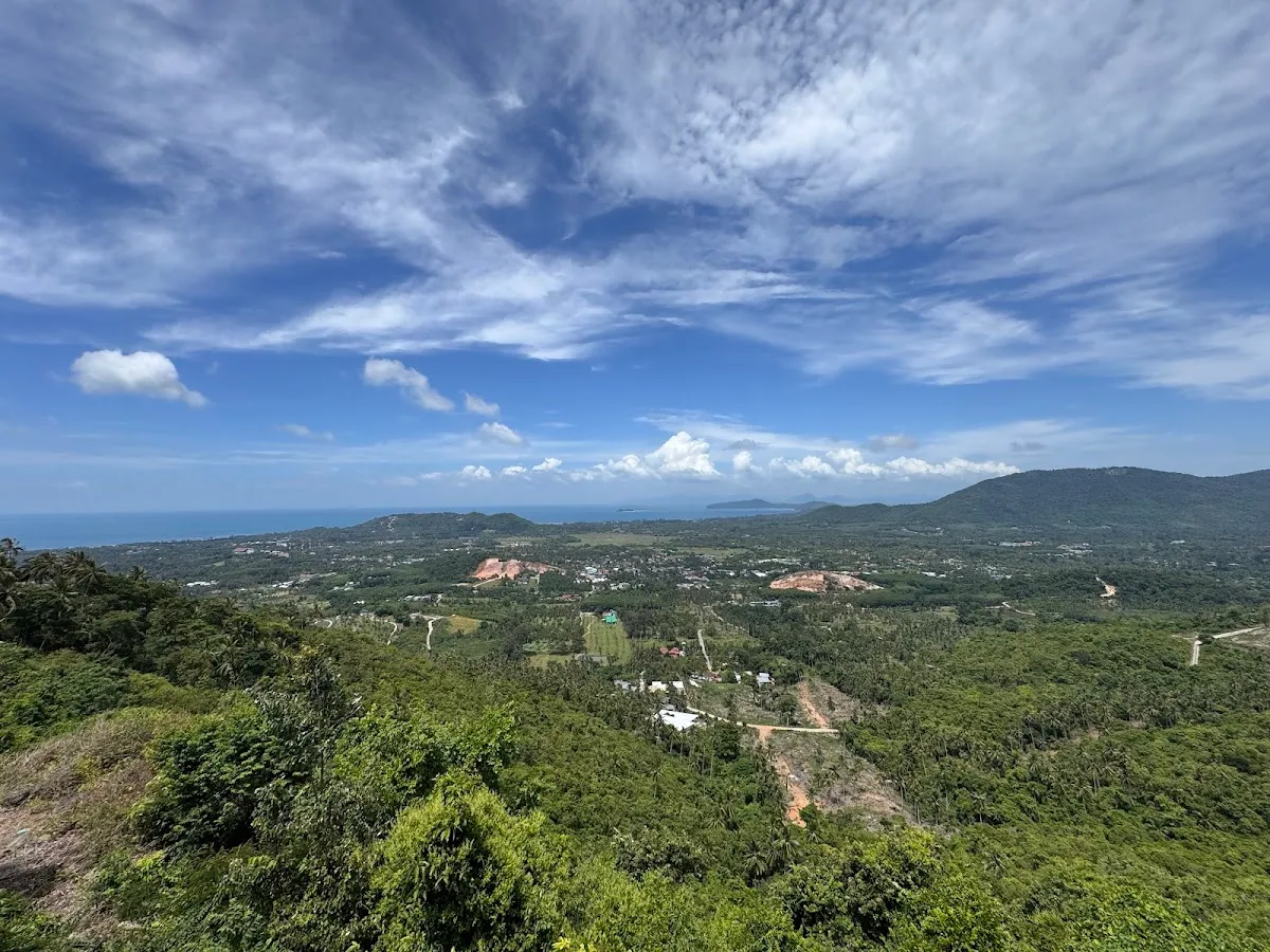 Jungle Safari Tour photo 2