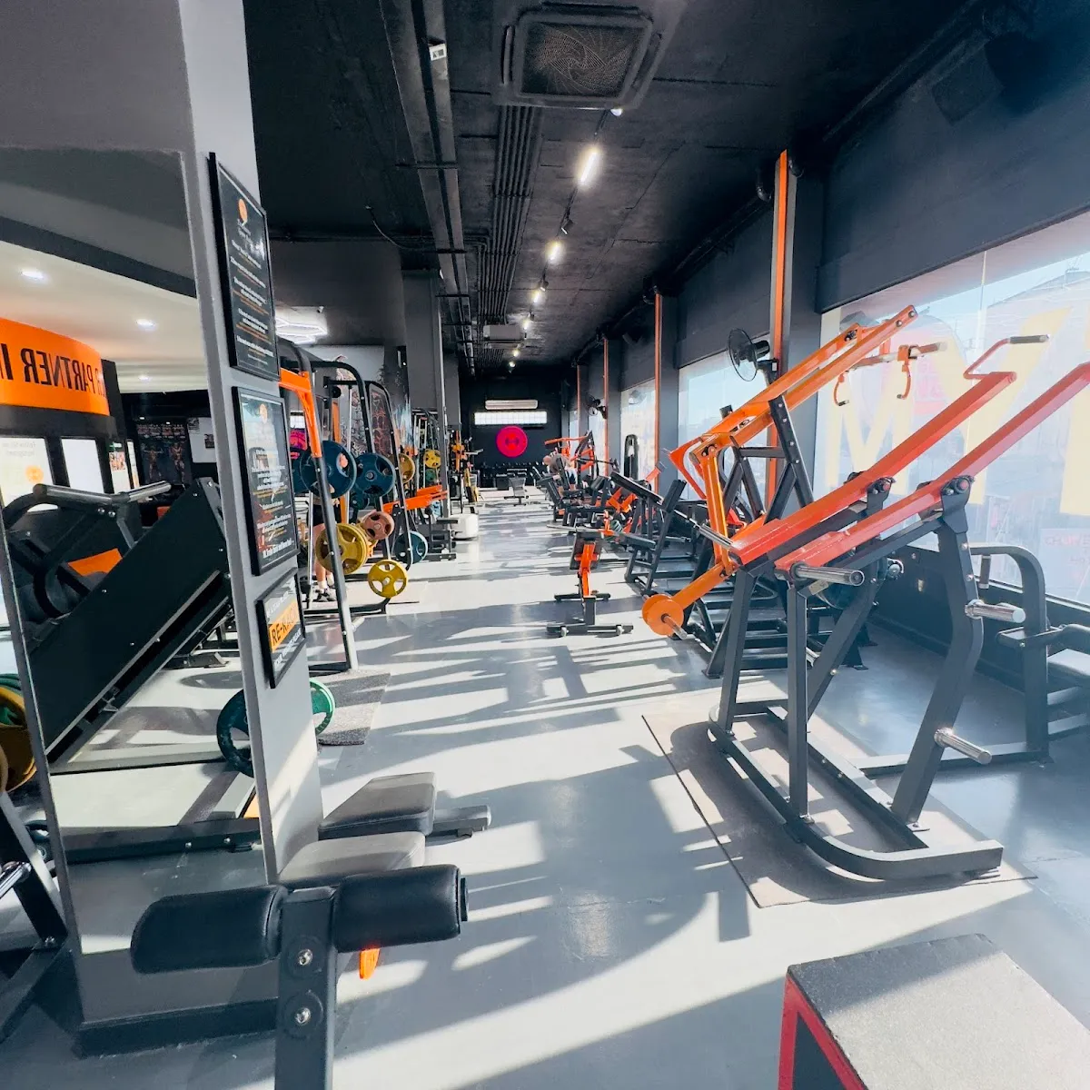 Elite Gym and Fitness Exclusive