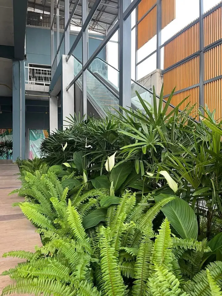 Chaweng Gateway photo 2