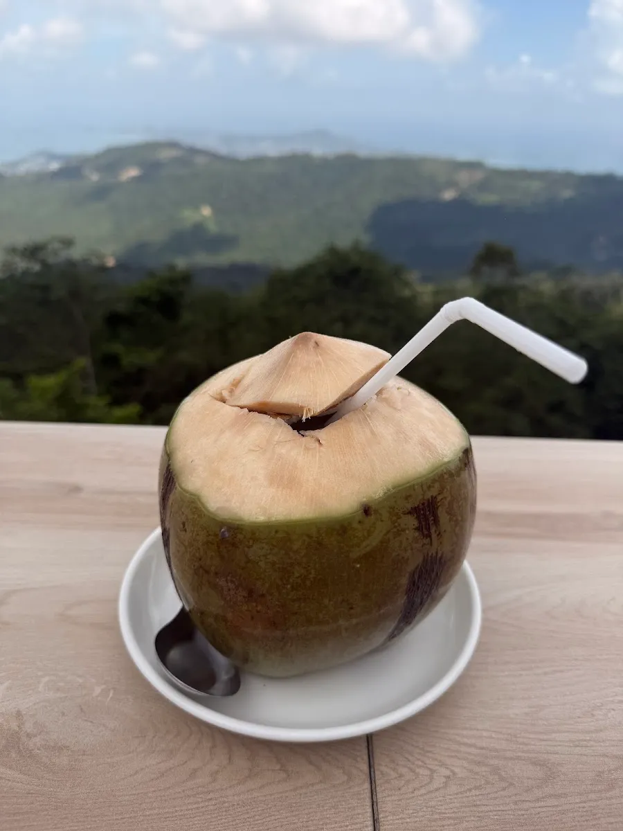 Mountain Jungle Restaurant photo 2