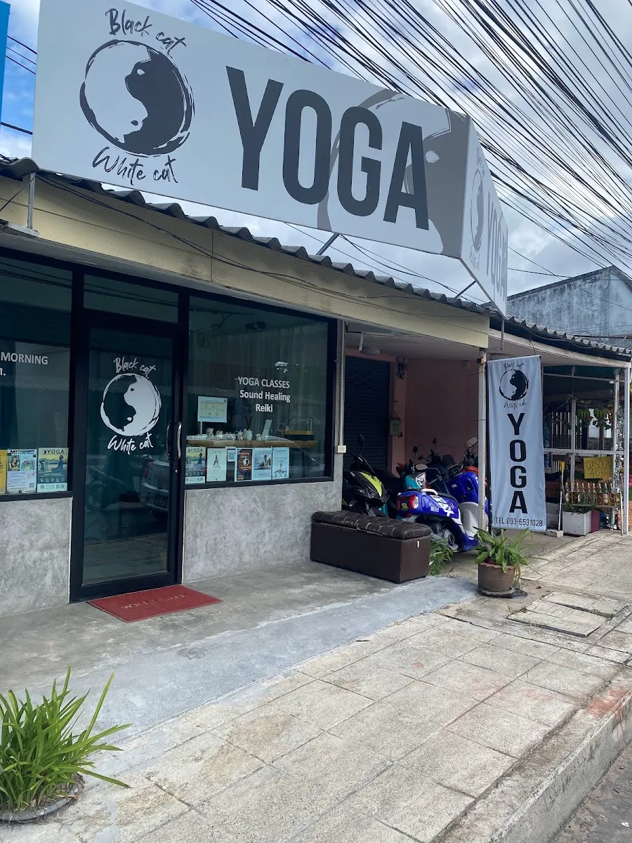 Yoga Black Cat & White Cat photo 3