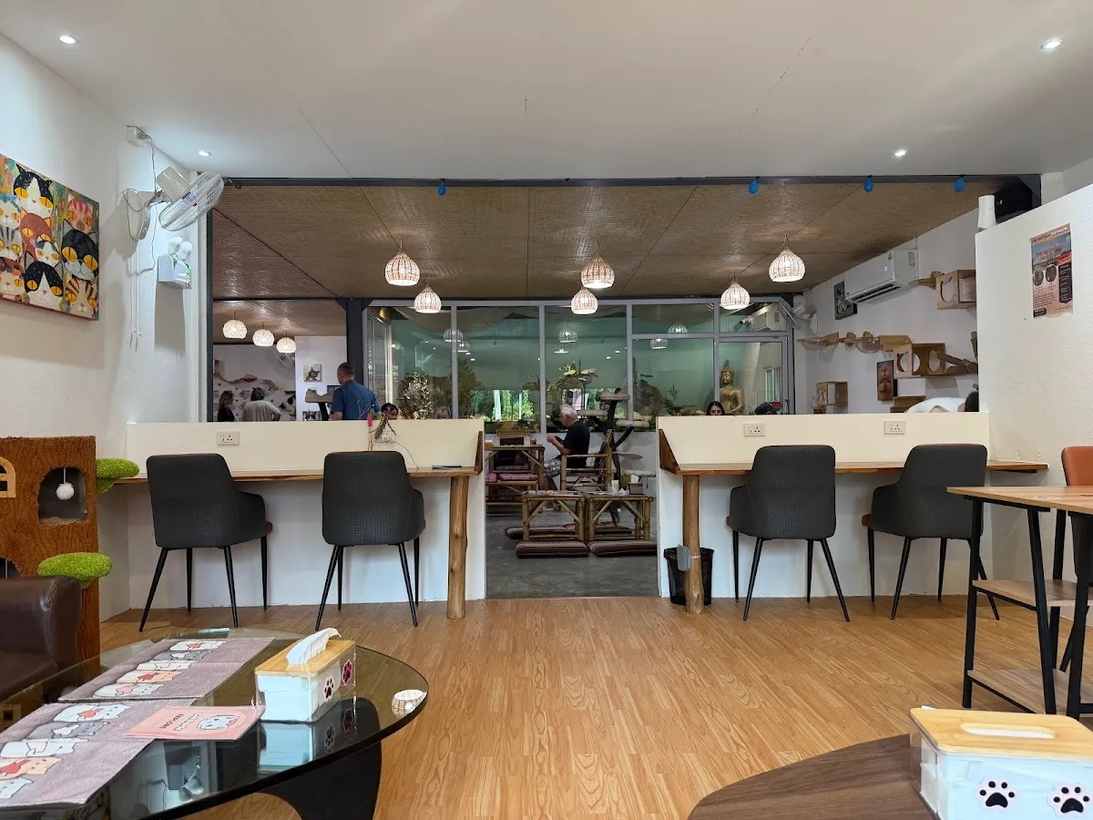 Cat café by CatWorld