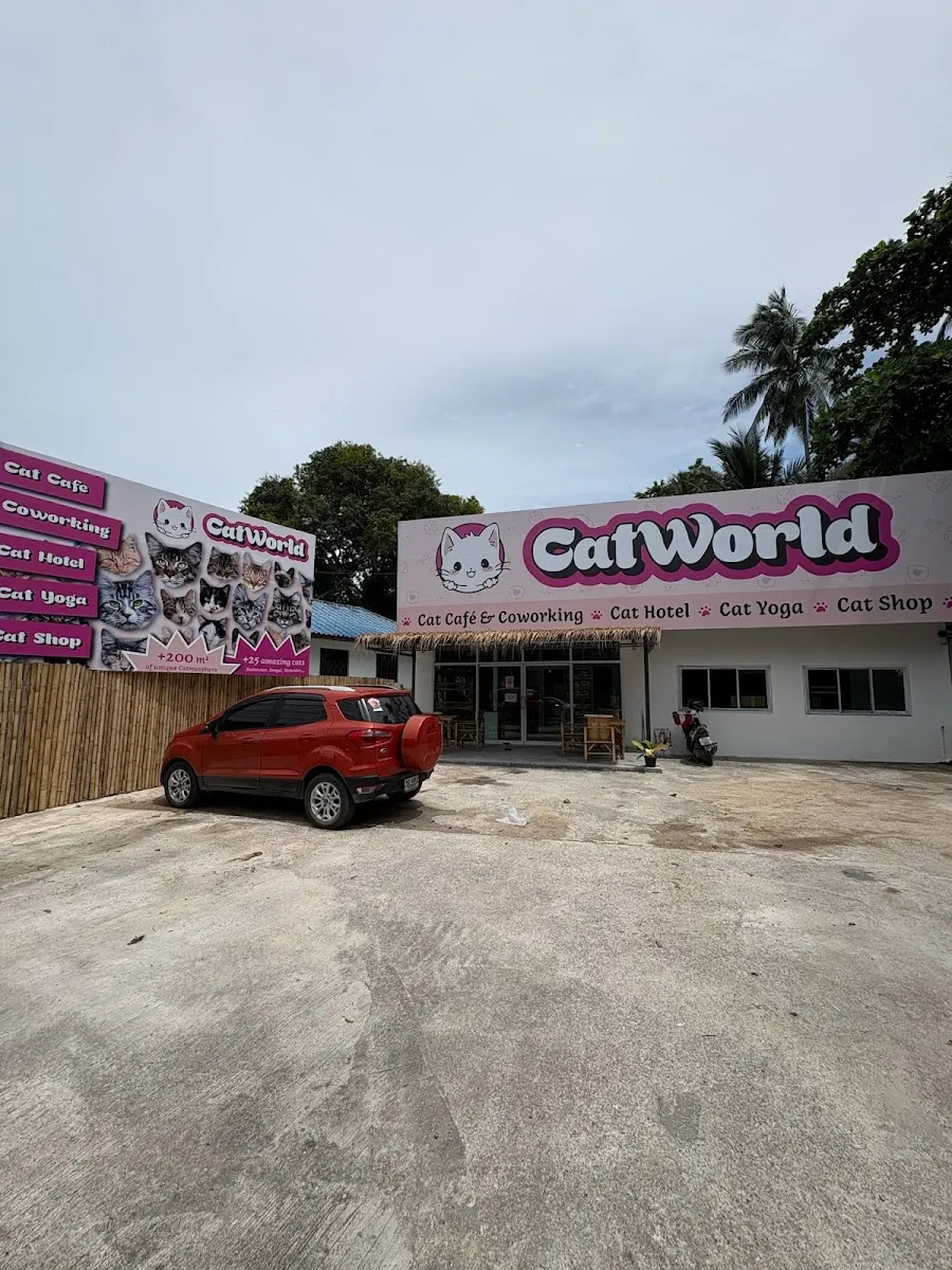 Cat café by CatWorld