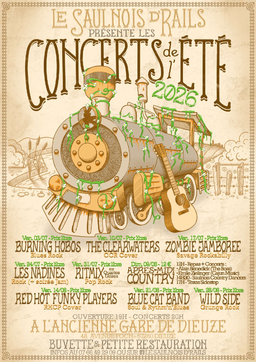 Le Saulnois D'rails - concert de Texas Sidestep