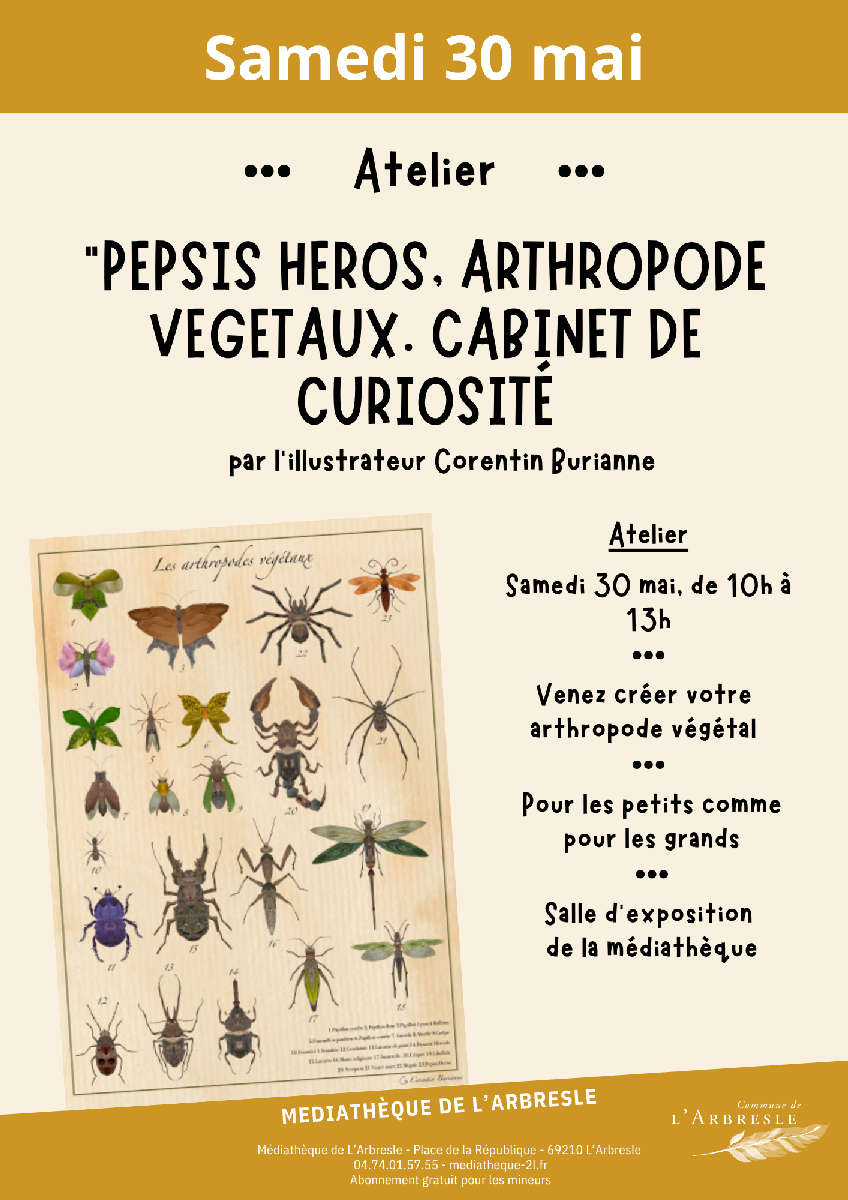 Expo de curiosités 