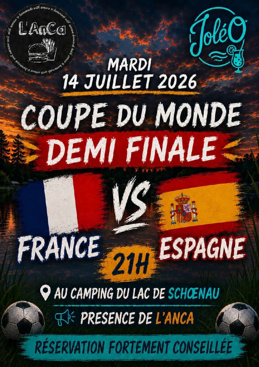 Demi-finale Coupe du monde 