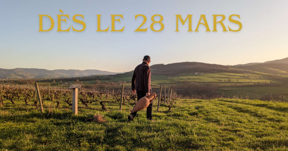 Ouverture saison Dernière Amphore