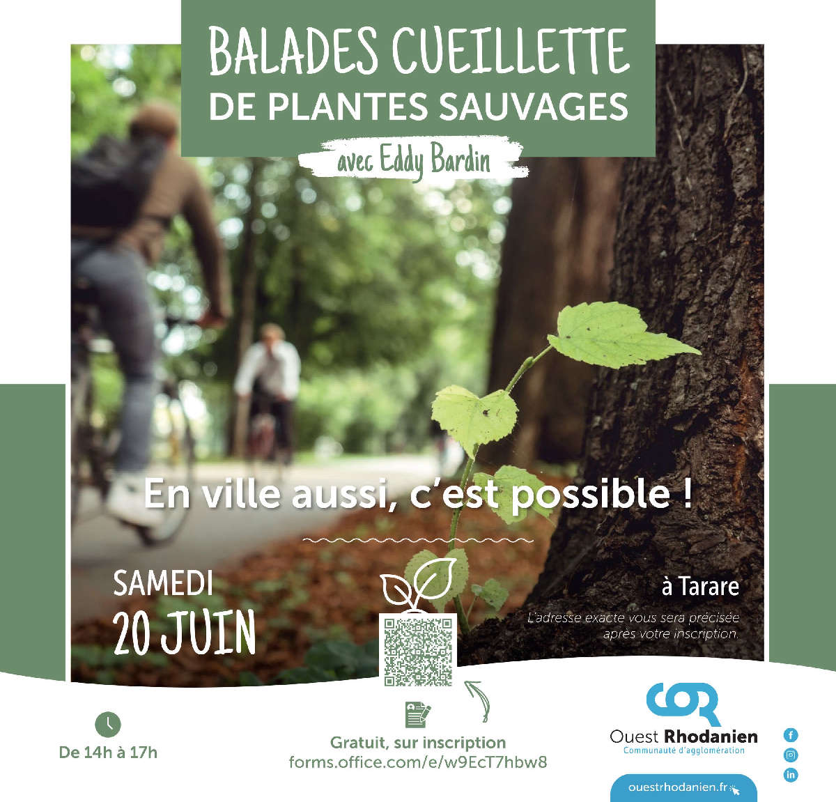 Balade cueillette