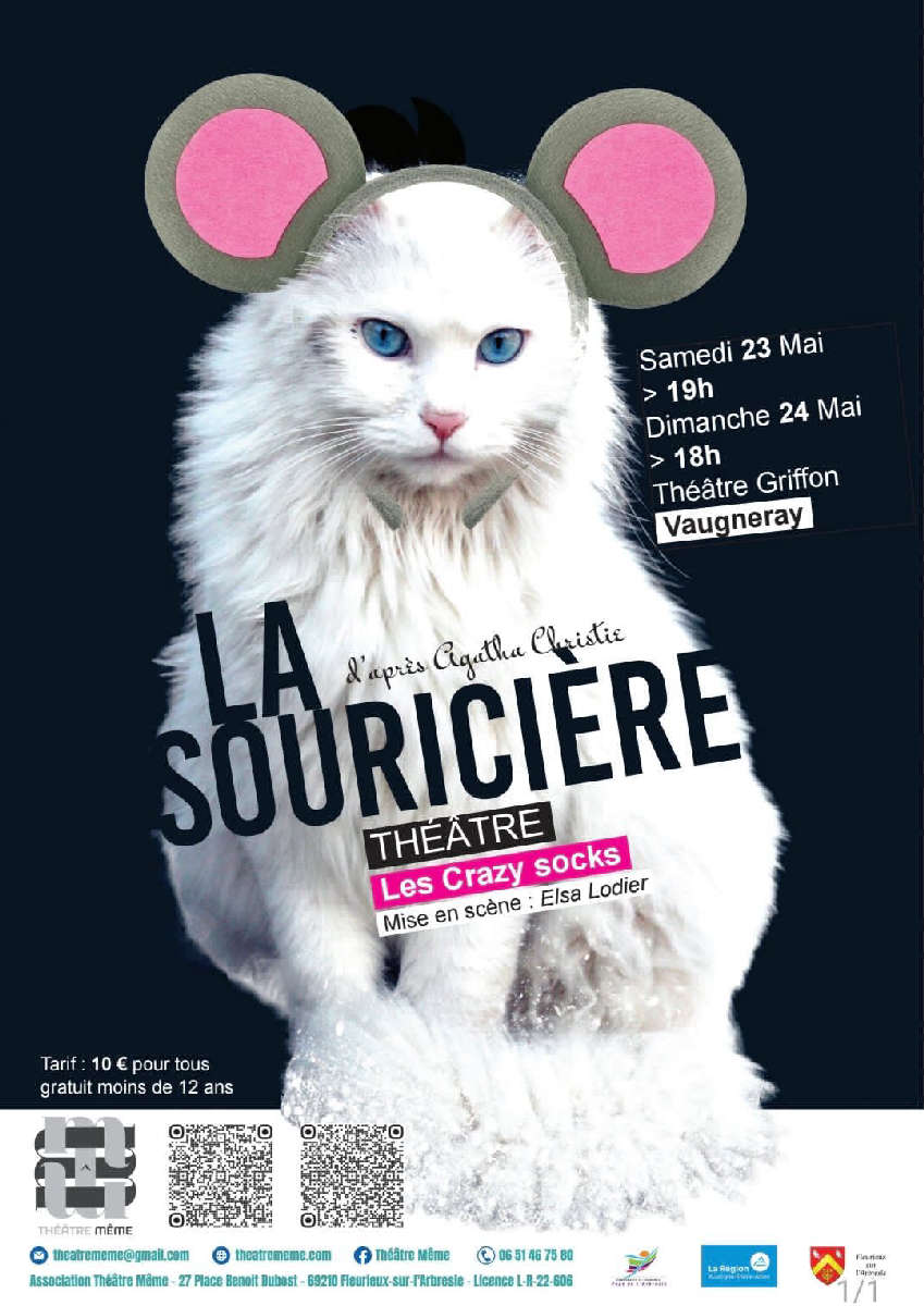 Les Crazy Socks Sur Scène Bientôt