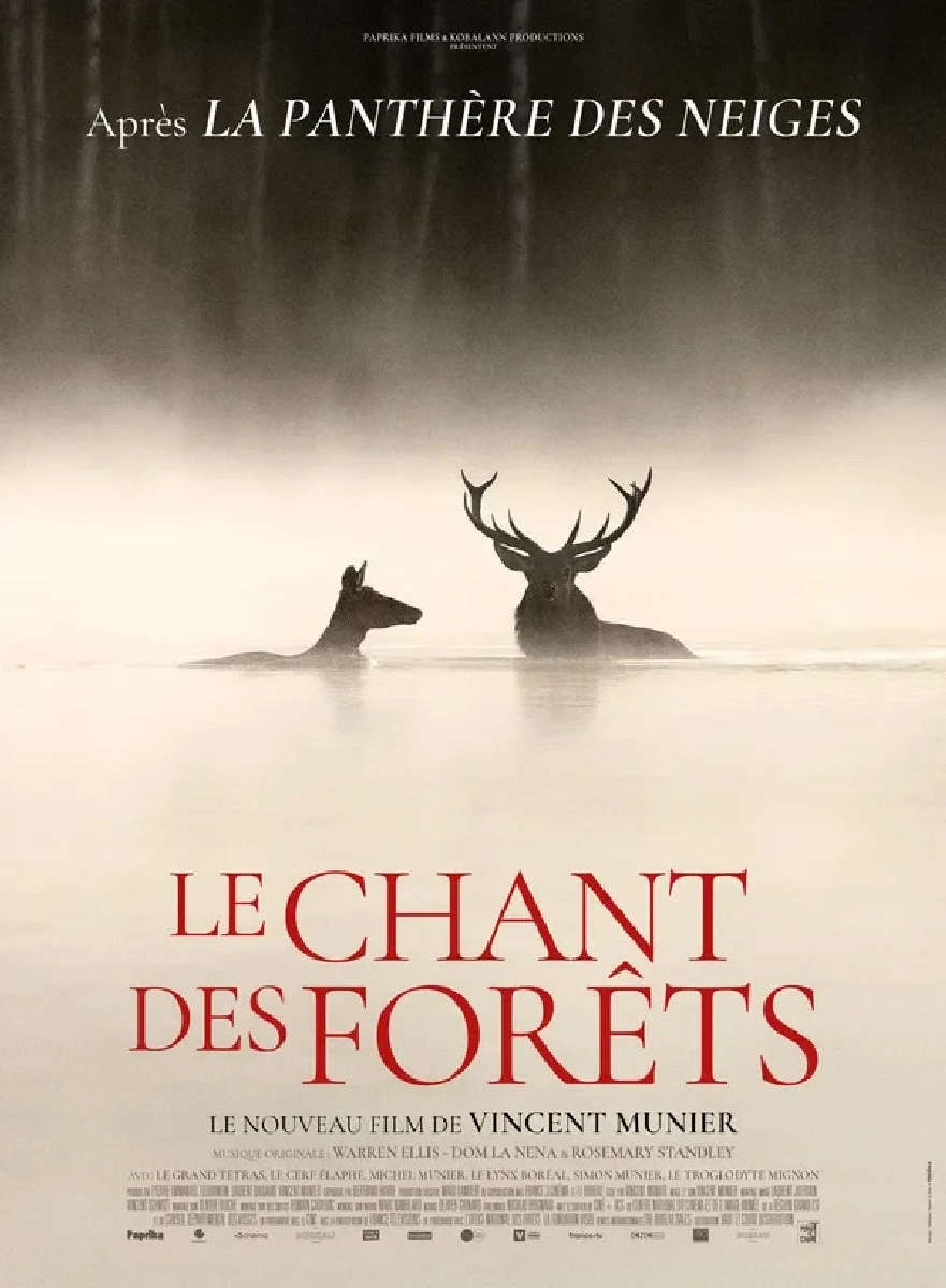 Cinéma itinérant : Le Champ des forêts
