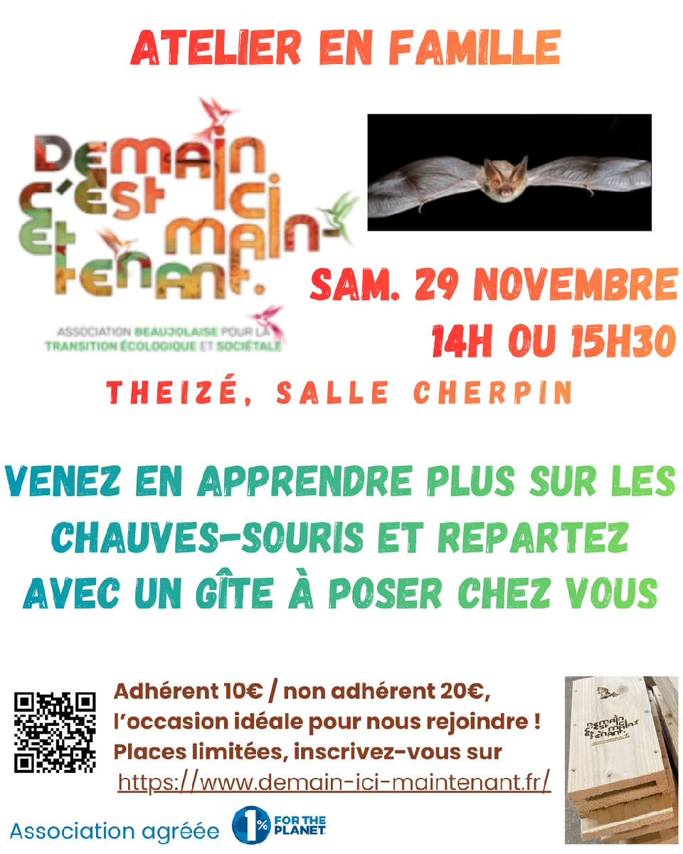 Atelier en famille : Chauves-souris