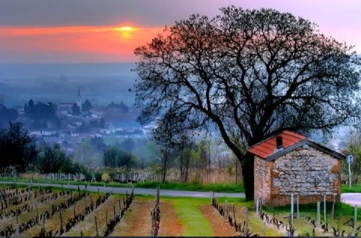 Concours photo : "Un été à St-Jean-des-Vignes"