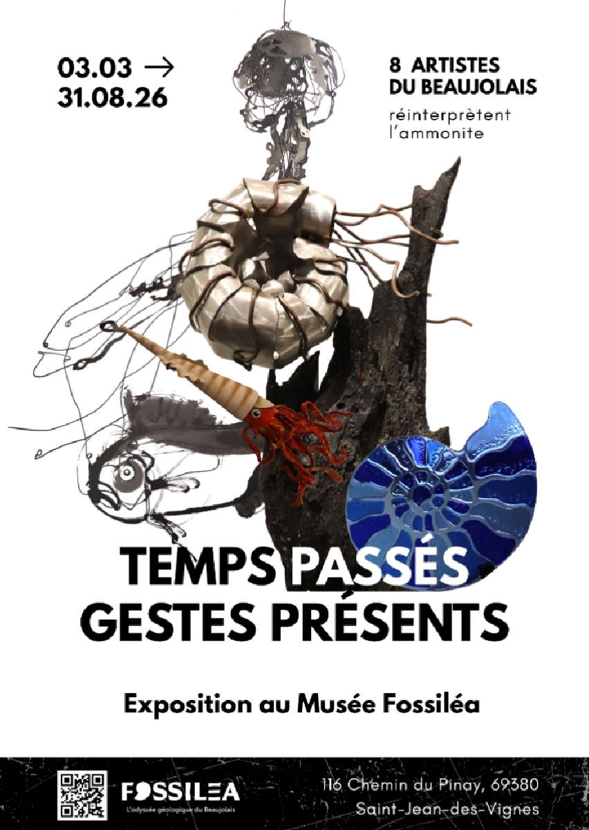 Exposition au musée Fossiléa