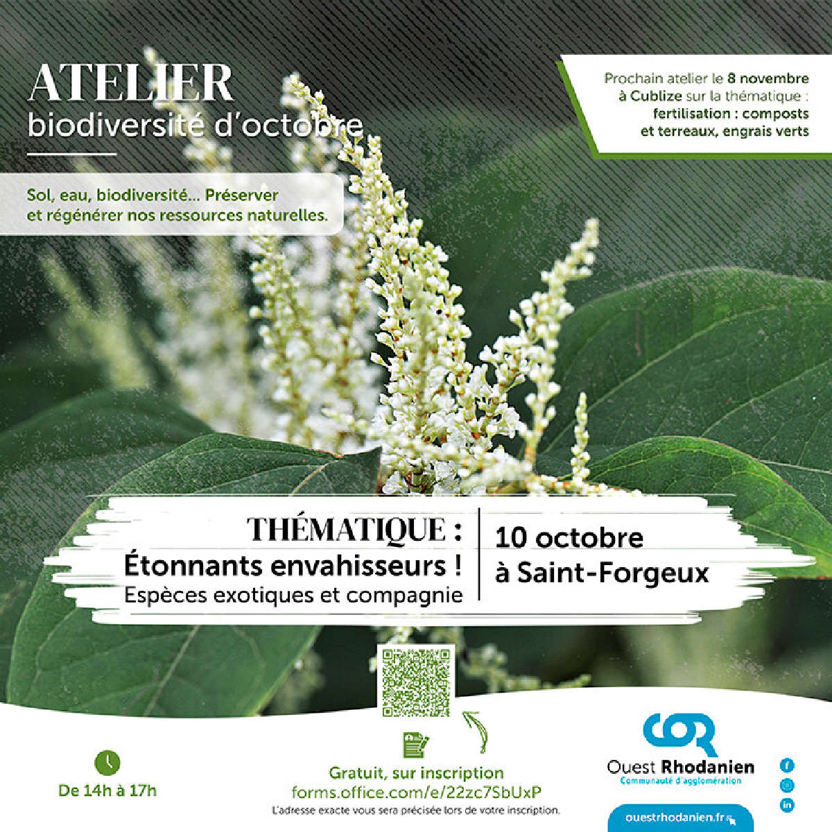 Atelier biodiversité 🍀
