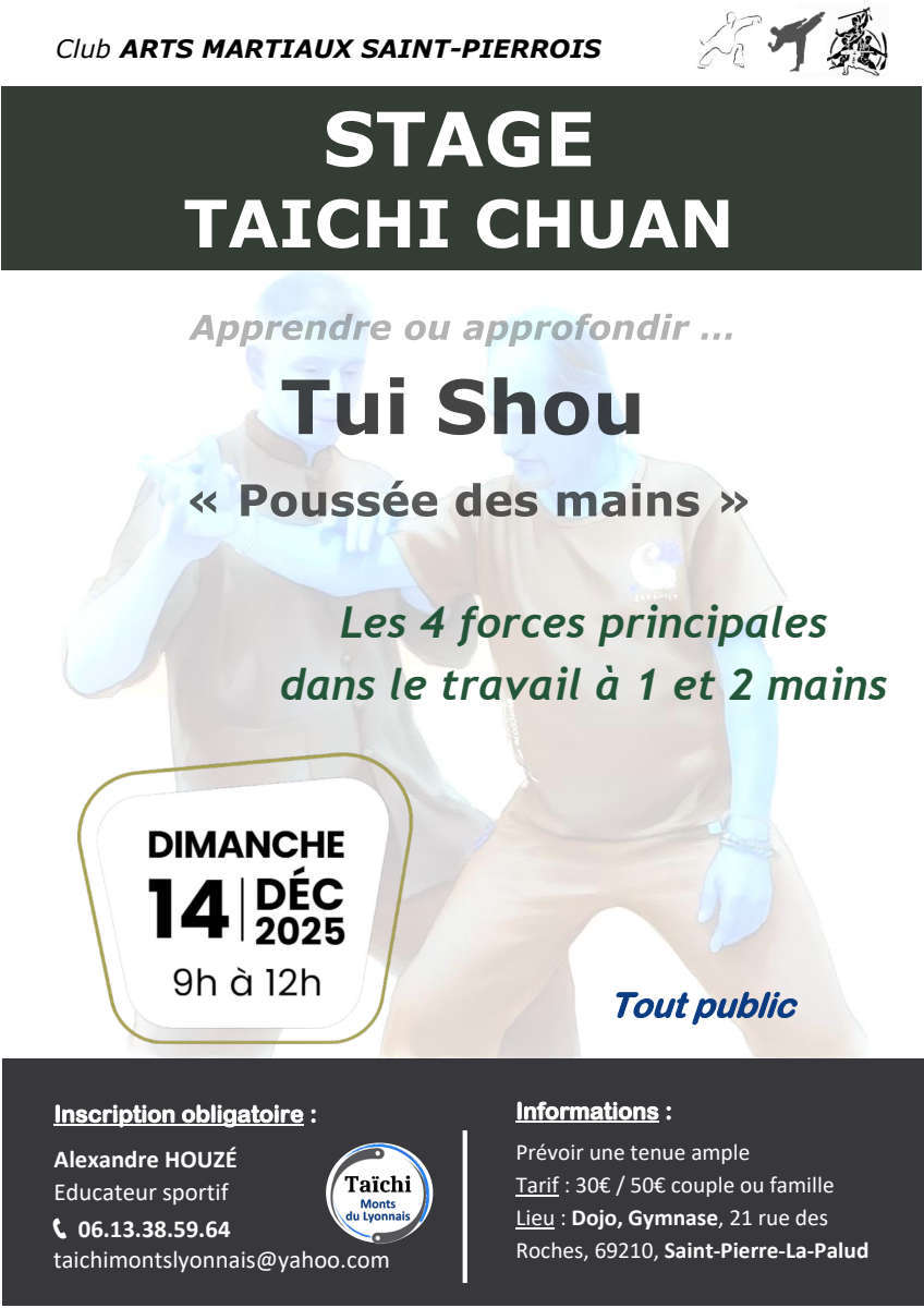 Stage Tai Chi Chuan - TUISHOU "Poussée des mains" le dimanche 14 décembre de 09 à 12h