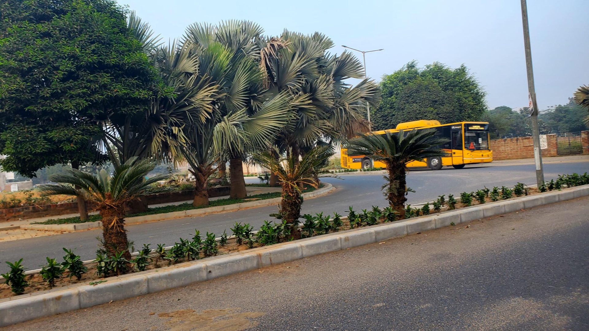 281 sq yd Plot for Sale in Sector 50, Gurugram — photo 2