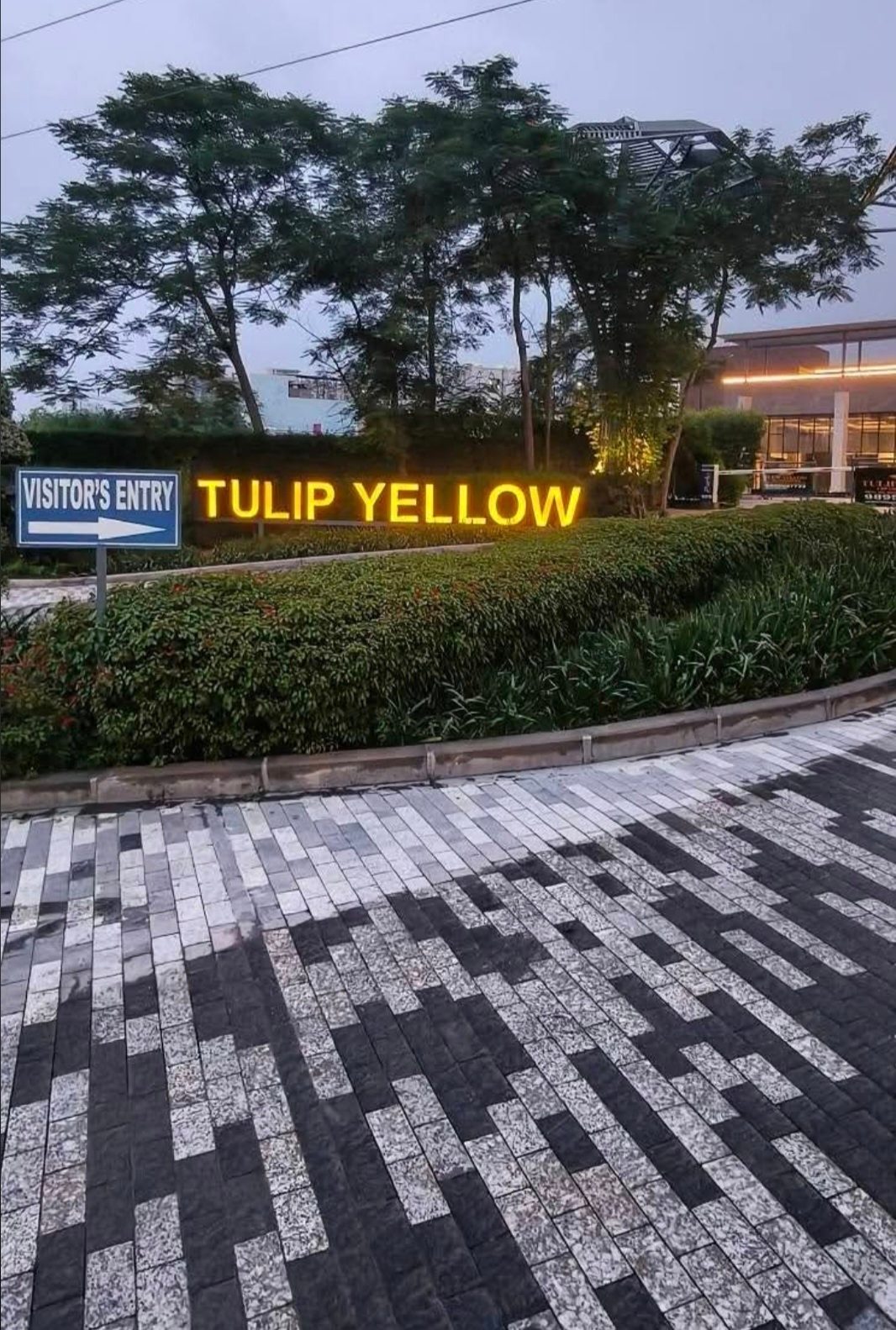 3 BHK Apartment for Sale in Tulip Yellow, Sector 69, Gurgaon — photo 2