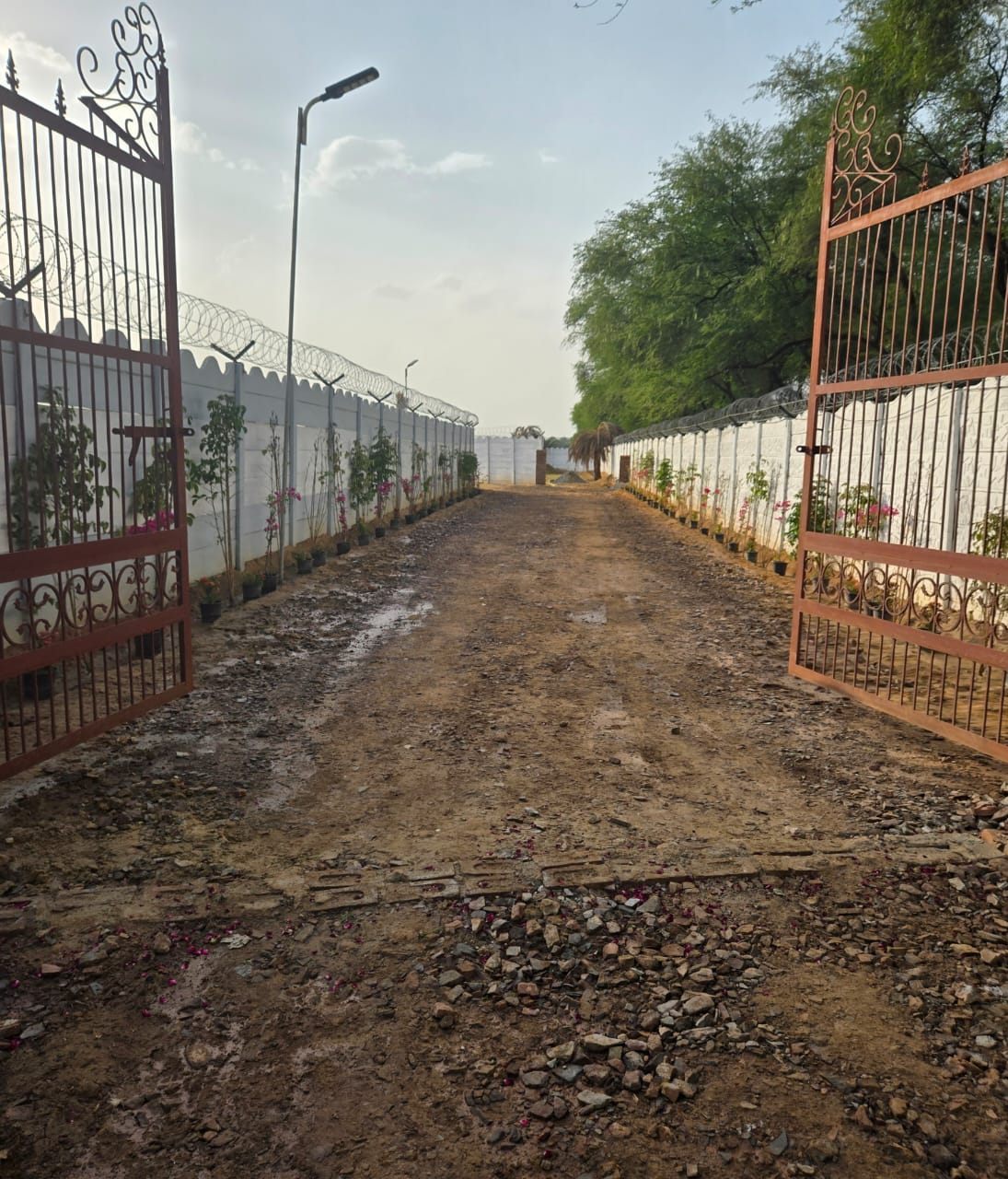 1,000 sq yd Plot for Sale in Sohna Ballabhgarh Road, Gurugram — photo 6