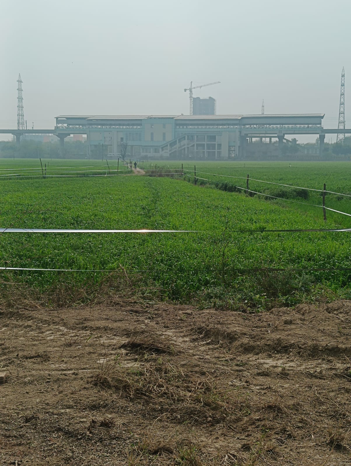 1,000 sq ft Plot for Sale in Sector 148, Noida