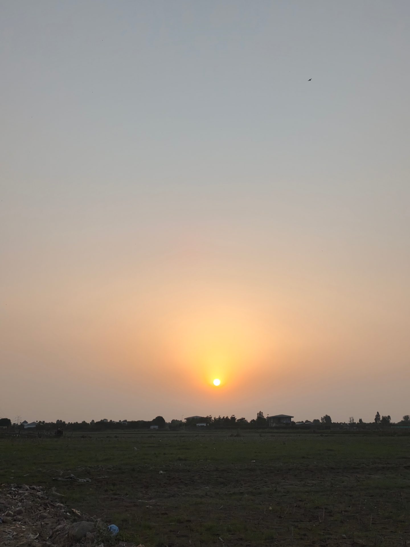 1,008 sq yd Plot for Sale in Sector 150, Noida