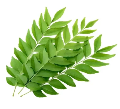Curry Leaves