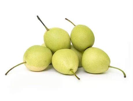 Indian Pear Nakh