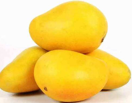 Lakhnavi Mango Safeda
