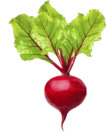 Red beetroot