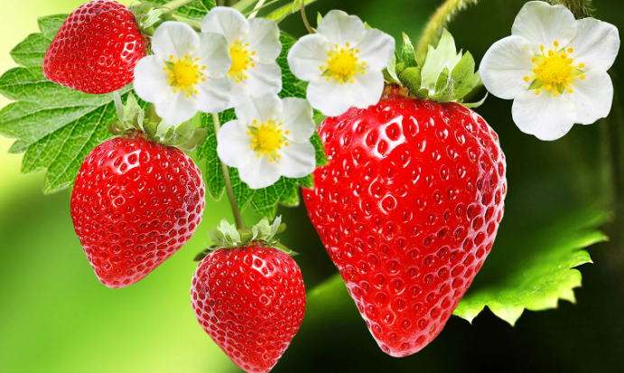 Strawberry