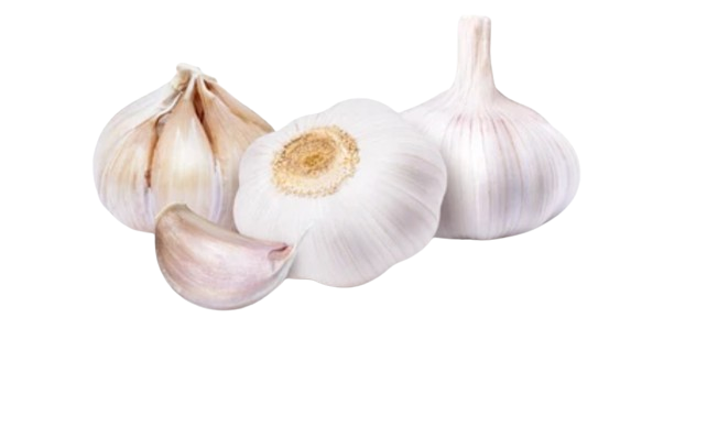 Garlic 