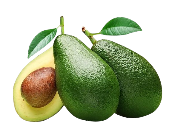 Avocado