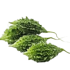 Bitter gourd forest