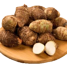 Calocasia (Arvi)