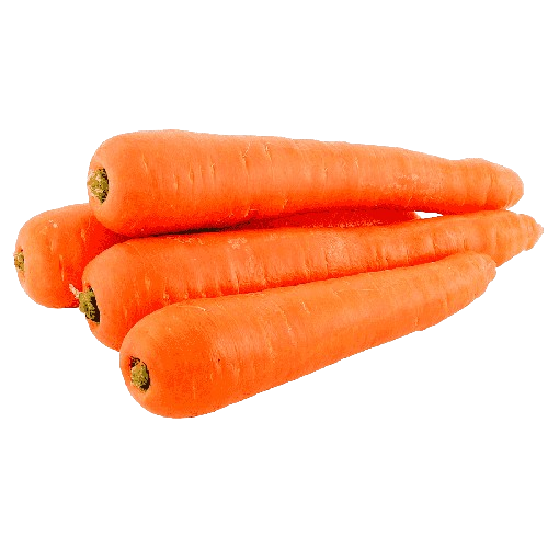 Carrot