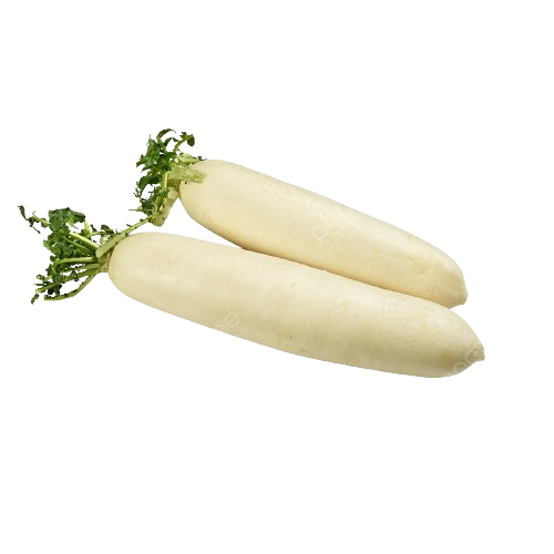 Fresh Radish(Taja Muli)