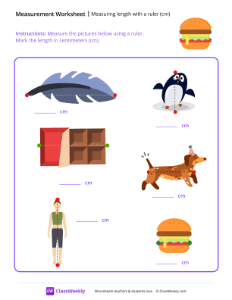 Measuring length with a ruler (cm) - Burger | Math Worksheet