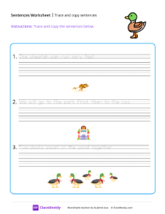 Trace and copy sentences - Duck | Reading & Writing Worksheet