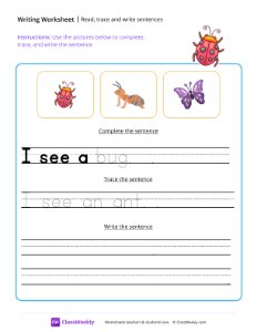 Read, trace and write sentences - Bug | Reading & Writing Worksheet