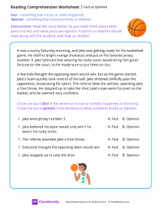 Fact vs opinion - Basketball | Reading & Writing Worksheet