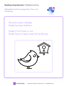 Read and Color - Sleepy Bird | Reading & Writing Worksheet