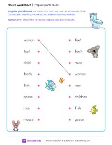 Irregular plural nouns - Toilet | Grammar Worksheet