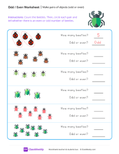 Make Pairs of Objects (odd or even) - Beetle | Math Worksheet