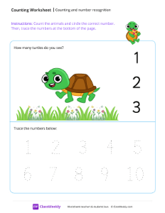 Counting and number recognition (1) - Turtle | Math Worksheet