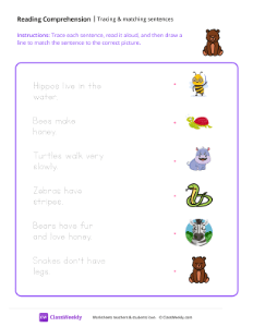 Trace and Match - Bear | Reading & Writing Worksheet