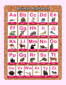 Animal Alphabet Printable (8.5x11) | Alphabet Resource