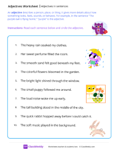 Adjectives in sentences - Owl | Grammar Worksheet