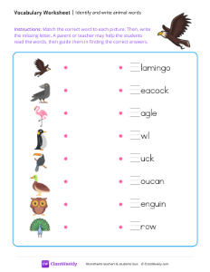 Identify and write animal words - Birds | Reading & Writing Worksheet