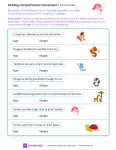 Fact vs Fiction - Fairy | Reading & Writing Worksheet