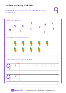 Counting and Tracing Numbers: 9 | Math Worksheet