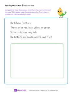 Read and draw - Birds | Reading & Writing Worksheet